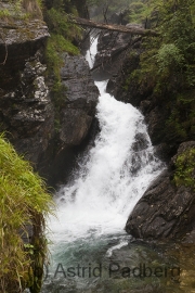 Durch Riesachschucht zum Riesachsee