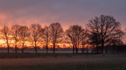 Sonnenaufgang in den Rieselfeldern