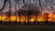 Sonnenaufgang in den Rieselfeldern