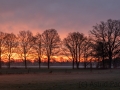 Sonnenaufgang in den Rieselfeldern