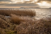 Jasmunder Bodden