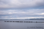 Jasmunder Bodden