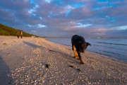 Binz, Strand