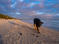 Binz, Strand