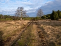 Proraner Heide