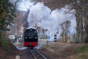 Rasender Roland auf dem Weg nach Göhren