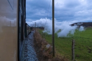 Rasender Roland auf dem Weg nach Binz