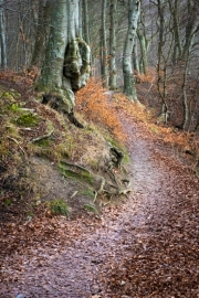 Nationalpark Jasmund