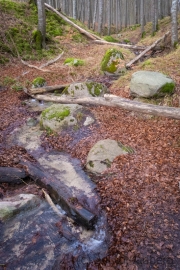 Nationalpark Jasmund