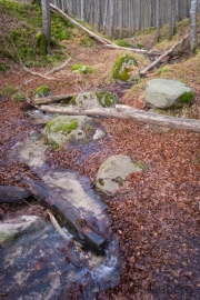 Nationalpark Jasmund