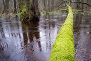 Nationalpark Jasmund