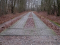 Die Granitz