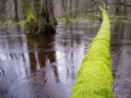 Nationalpark Jasmund