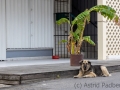 grand_anse_20250306_R3828_web