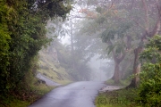 Weg zum Pic Paradis