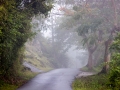 Weg zum Pic Paradis