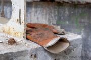 scheufelen_20240825_R6642_web