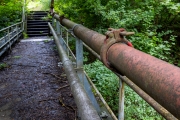 scheufelen_20240825_R6650_web