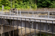scheufelen_20240825_R6652_web