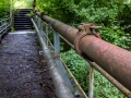 scheufelen_20240825_R6650_web