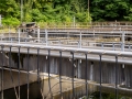 scheufelen_20240825_R6652_web