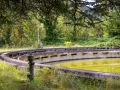 scheufelen_20240825_R6654_web