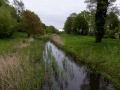 Schwarze Elster, Senftenberg