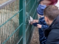 Skuddenfütterung