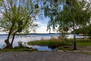 Senftenberger See