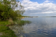 Senftenberger See