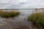 Senftenberger See