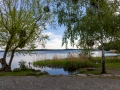 Senftenberger See