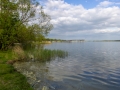 Senftenberger See