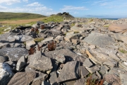 Broch of Burraland