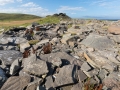 Broch of Burraland