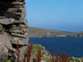 Broch of Burraland, Blick auf Mousa Broch