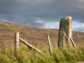 Loch of Tingwall