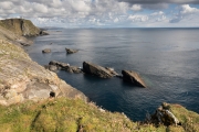 Sumburgh Head