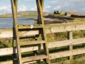Sumburgh, Stile