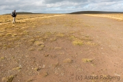 Fetlar, Airstrip