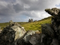 Fetlar, Strandburgh Ness