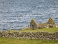 Fetlar, Strandburgh Ness