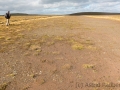 Fetlar, Airstrip