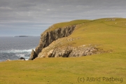 Ness of Hillswick