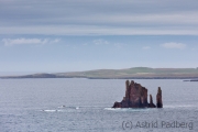 The Drongs, Ness of Hillswick