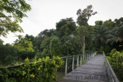 Botanischer Garten, Learning forest