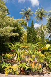 Botanischer Garten, Orchideengarten