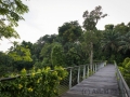 Botanischer Garten, Learning forest