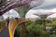 Skywalk, Supertrees