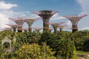 Supertrees